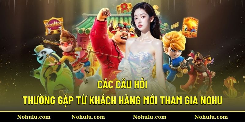 Tổng hợp hàng loạt câu hỏi khi mới tham gia Nohu