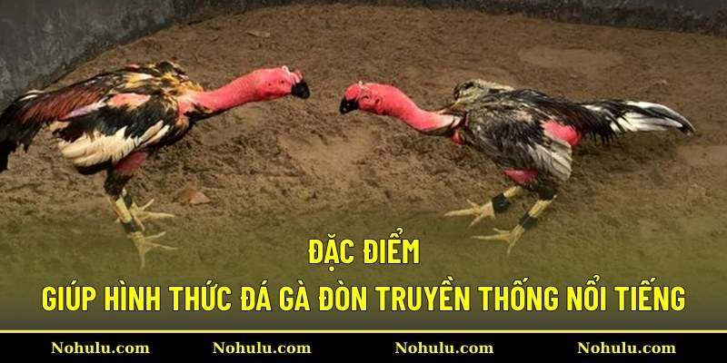 Đặc điểm giúp hình thức đá gà đòn truyền thống nổi tiếng