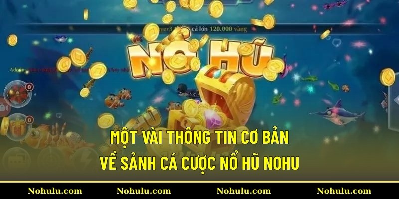 Một vài thông tin cơ bản về sảnh cá cược nổ hũ Nohu