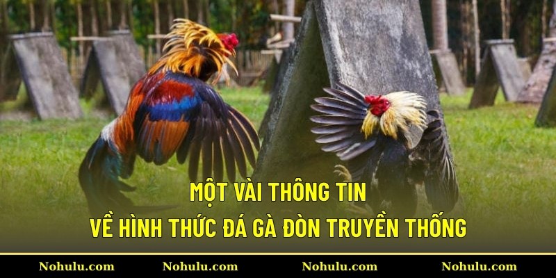 Một vài thông tin về hình thức đá gà đòn truyền thống