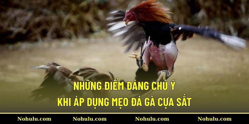 Những điểm đáng chú ý khi áp dụng mẹo đá gà cựa sắt