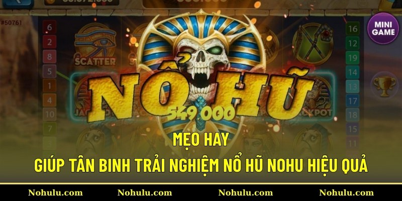 Mẹo hay giúp tân binh trải nghiệm nổ hũ Nohu hiệu quả