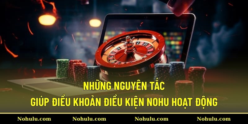 Những nguyên tắc giúp điều khoản điều kiện Nohu hoạt động