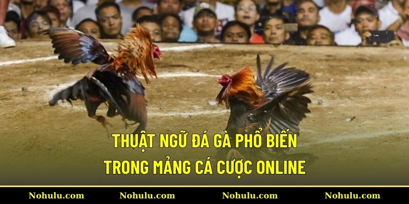Thuật Ngữ Đá Gà Phổ Biến